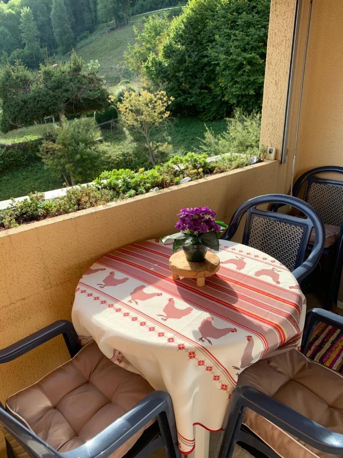 Appartement Vue Montagne Avec Wifi Saint-Lary-Soulan Exterior foto